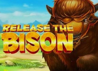Визуал слота Bison Release